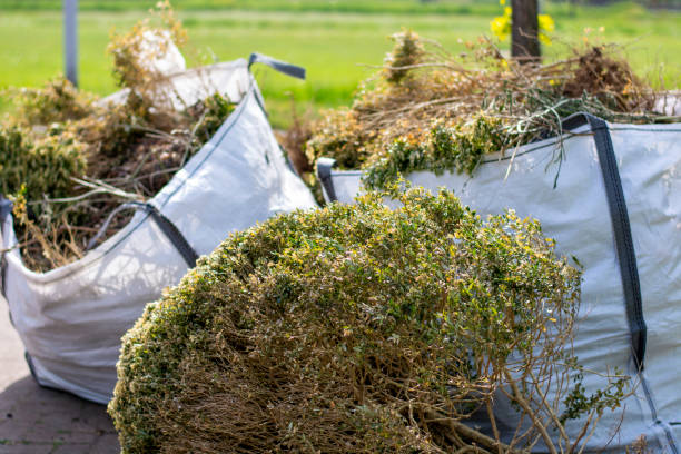 Demolition Debris Removal in Estill, SC